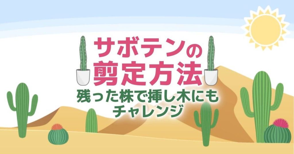 サボテンの剪定方法