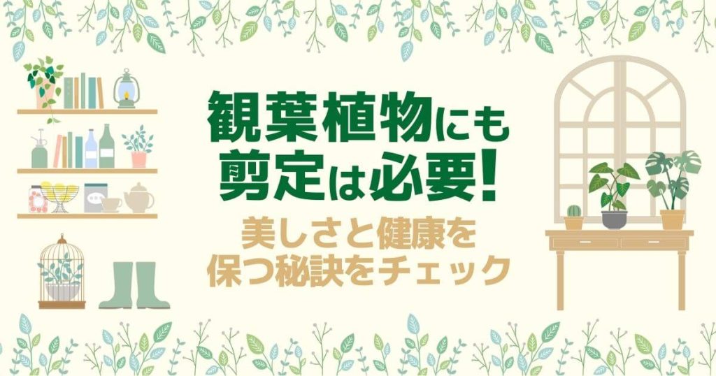 観葉植物にも剪定は必要！美しさと健康を保つ秘訣をチェック