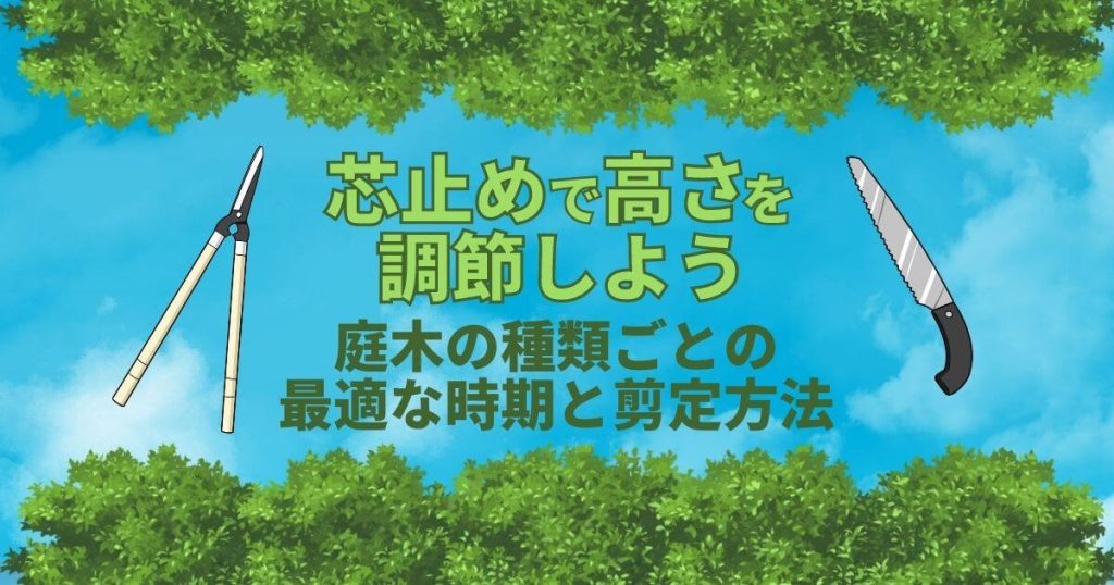 芯止めで高さを調節しよう庭木の種類ごとの最適な時期と剪定方法