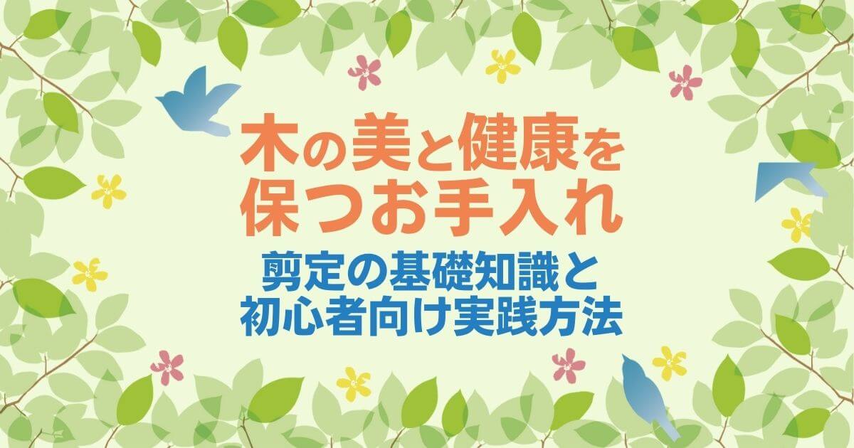 剪定とは まずはこれをやれば大丈夫 木の美観と健康を保つためのお手入れ4ステップ お庭110番